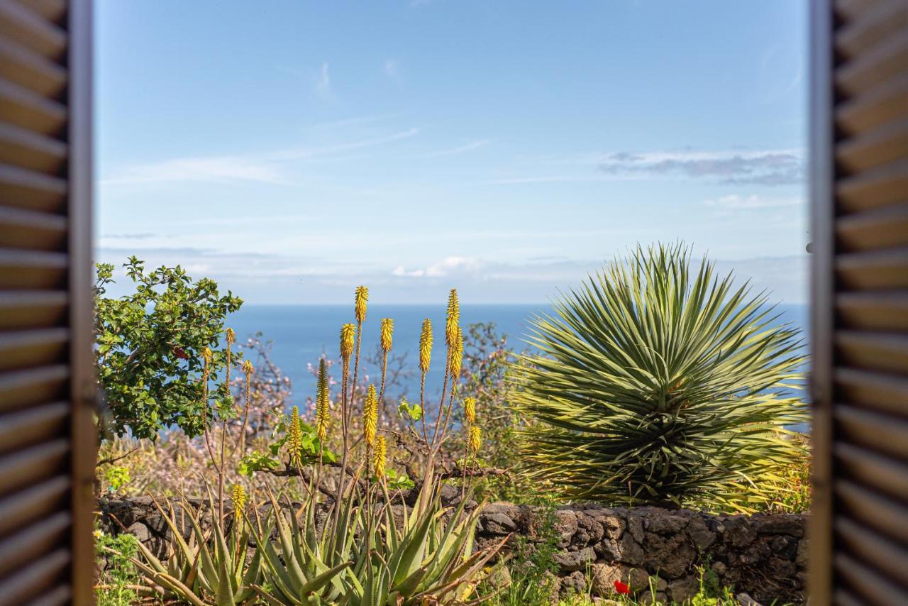 Casa Agave 1 Villa Frontera Exterior photo